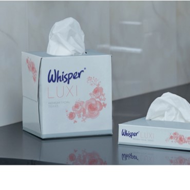 Napkins & Tray Papers